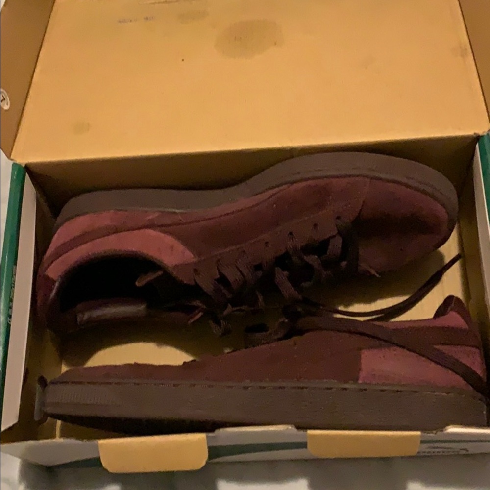 pumas